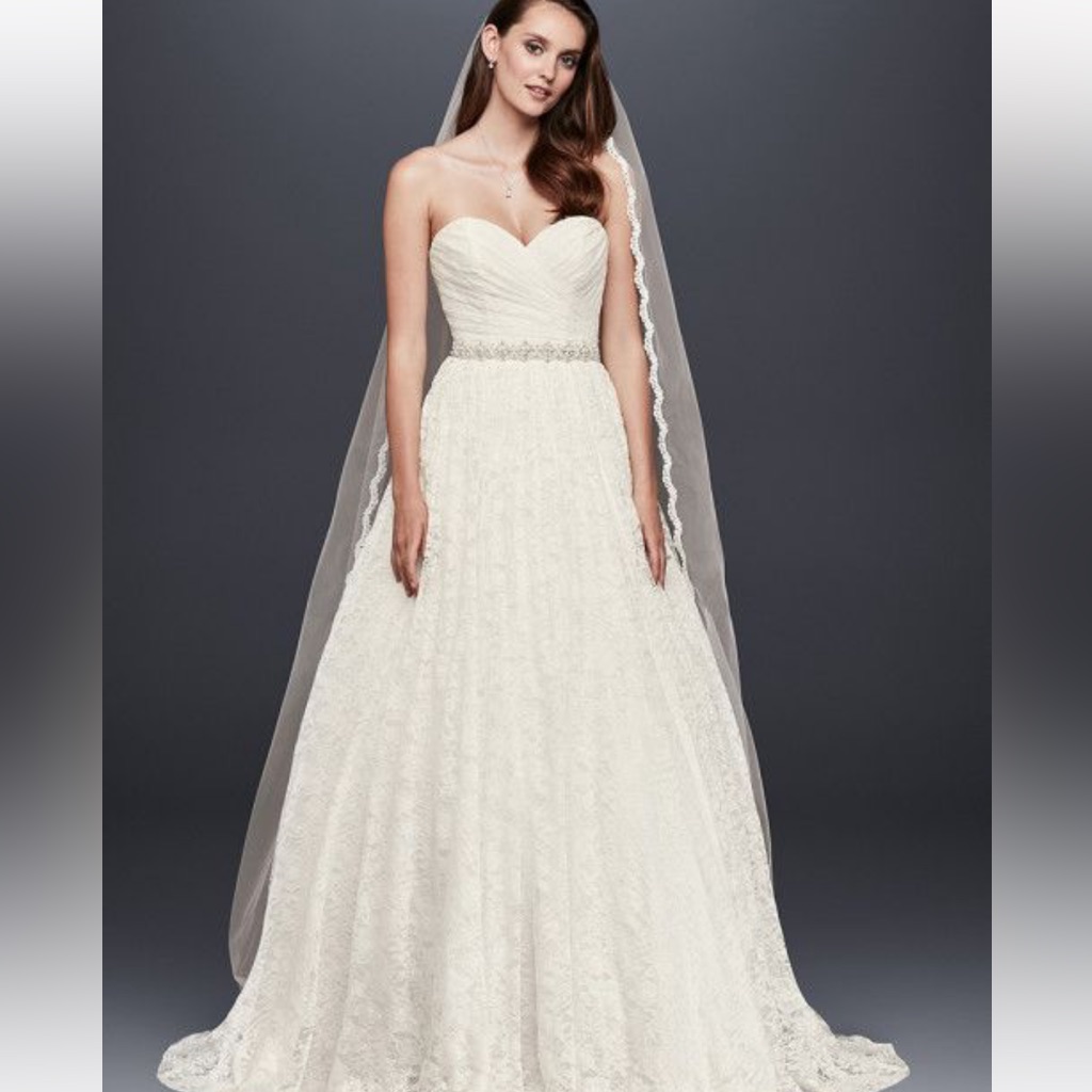 Wg3829 David’s Bridal Wedding Dress Size 10 Strapless Fit & Flare Lace Gown Nwt